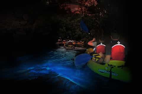 San Juan: El Yunque Rainforest and Bio Bay Combo Tour
