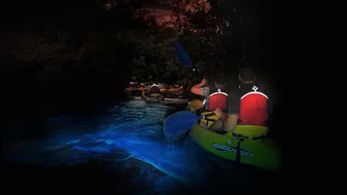 san juan el yunque rainforest and bio bay combo tour