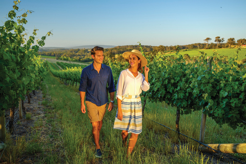 Hunter Valley: Weintour mit 3 Verkostungen & Mittagessen