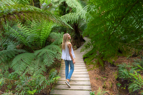 Da Melbourne ad Adelaide: tour esplorativo di 2 giorni via terraCamera singola privata