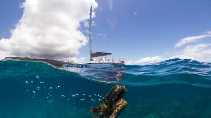 west maui snorkel y vela de rendimiento con almuerzo