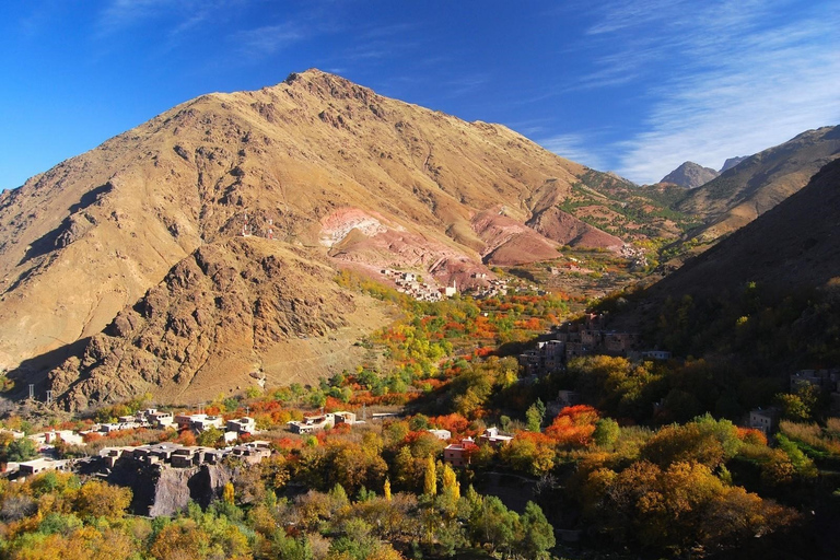 Ab Marrakesch: Berber-Kochkurs im Hohen Atlas