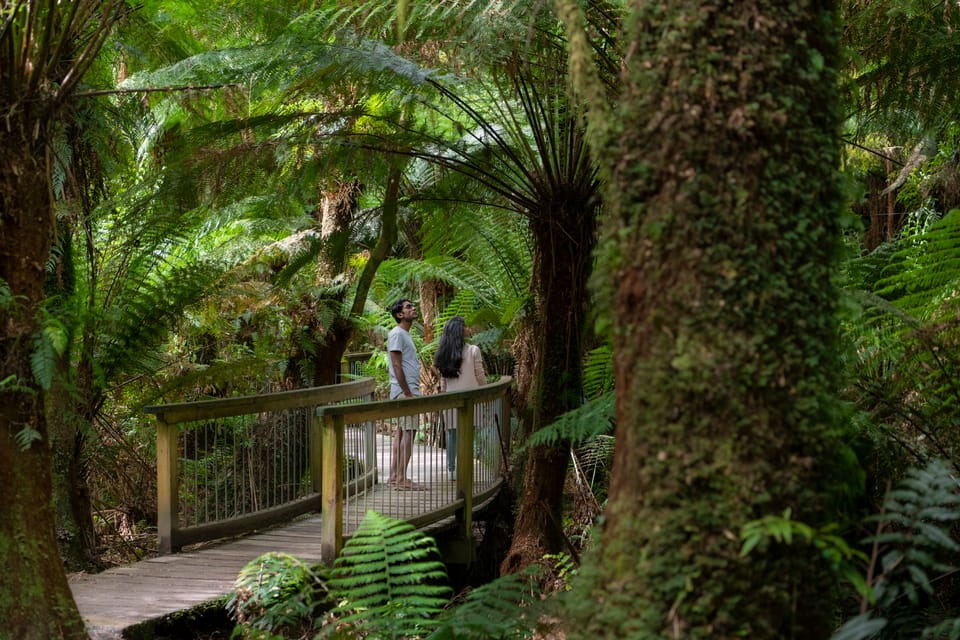 De Melbourne: Great Ocean Road Reverse Eco Tour