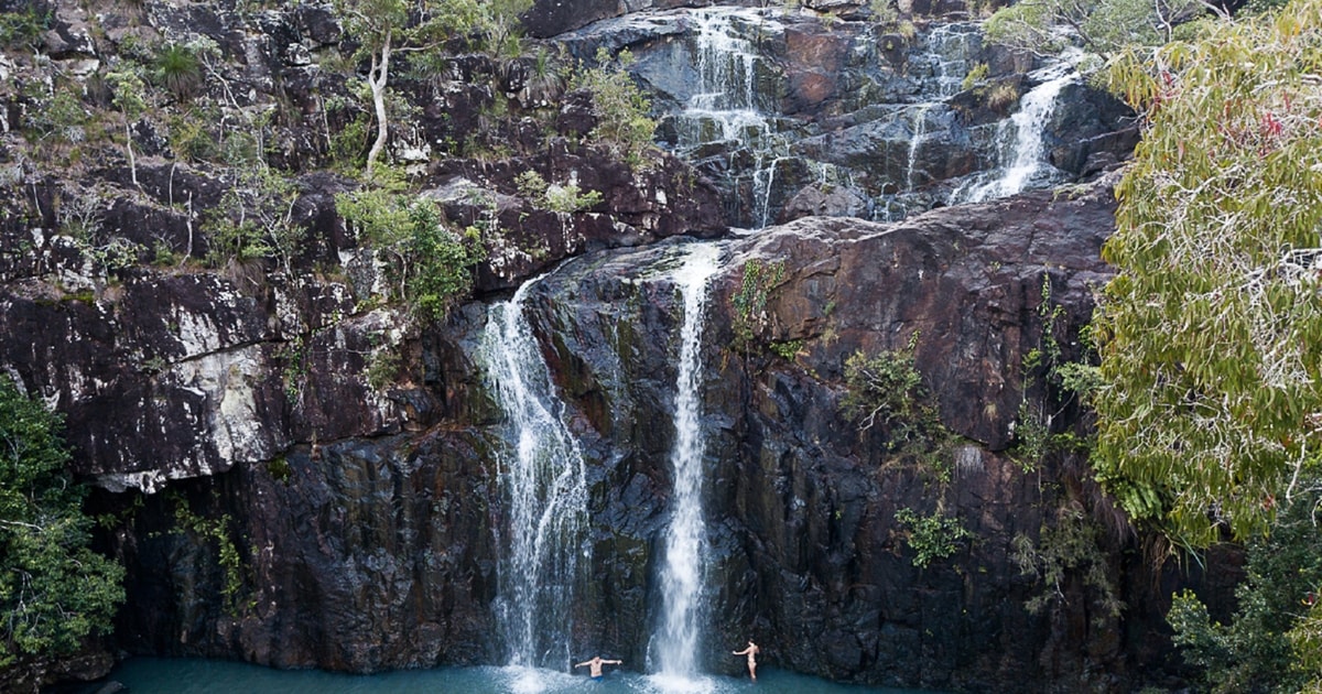 Airlie Beach Tropical Rainforest and Waterfall Walking Tour Airlie