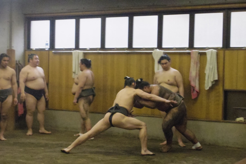 Tokio: Sumo-Morgen-TrainingsbesichtigungstourTokio: Besuch beim Morgentraining von Sumo-Ringern