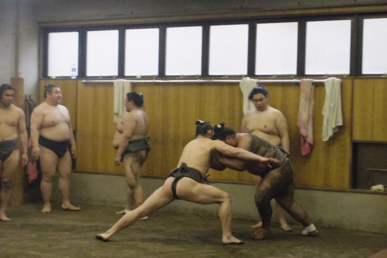 Tokyo: Sumo Morning Practice Viewing TourTokio: bezoek aan de Sumo-stal in de ochtend