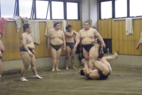 Tokyo: visita a una sessione di allenamento di sumo mattutinaTour del Sumo di Ryogoku