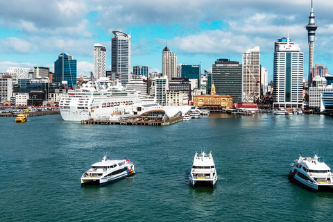 Auckland : Croisière panoramique dans le port