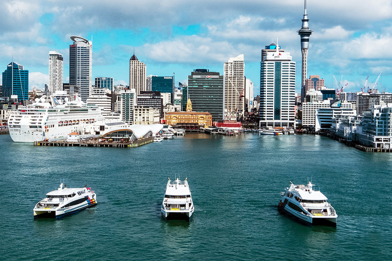 Auckland: Scenisk sightseeingkryssning i hamnen