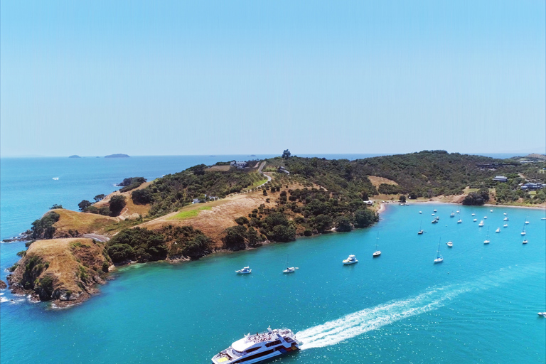 De Auckland: Excursão de um dia à ilha de Waiheke