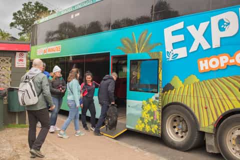 Waiheke Island Ferry & Explorer Hop-On Hop-Off Bus Tickets