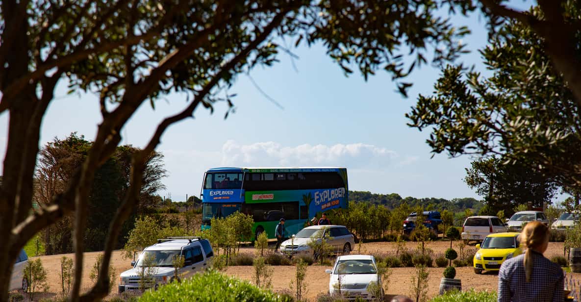 Waiheke Island Ferry & Explorer Hop-On Hop-Off Bus Tickets