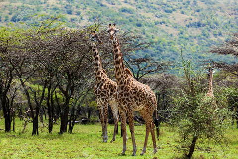 Lake Naivasha y Hell's Gate Day Tour Tarifas de admisión incluidas