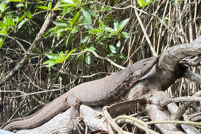 Bentota: River Boat Safari and Tuk-Tuk Ride with Pickup-Drop