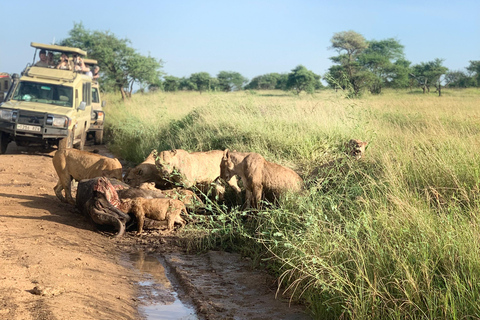 Arusha/Moshi 5 jours de safari en Tanzanie en groupe avec participation à un budget