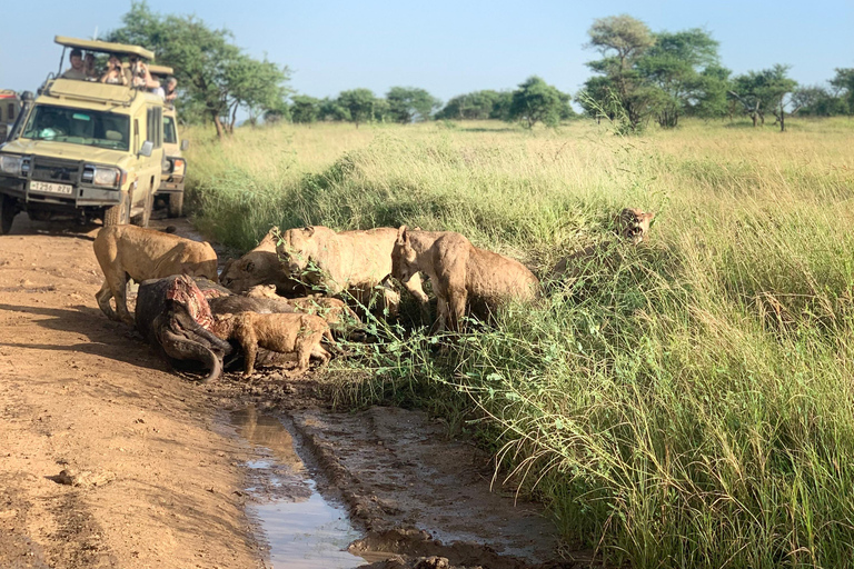 Arusha/Moshi 5 jours de safari en Tanzanie en groupe avec participation à un budget