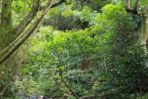 Morning or Afternoon Palehua Ridge Hike