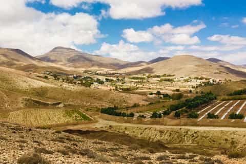 Fuerteventura: Trekking with Goats & Panorama Tour