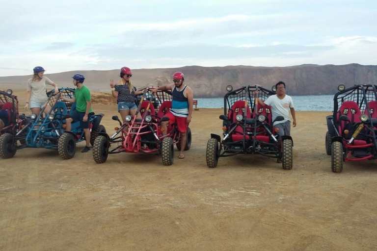 Paracas : Promenade en mini-buggy dans la réserve nationale de Paracas