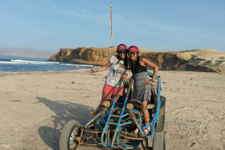 Paracas : Promenade en mini-buggy dans la réserve nationale de Paracas