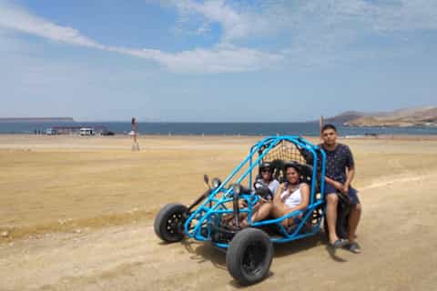 Sightseeing on wheels