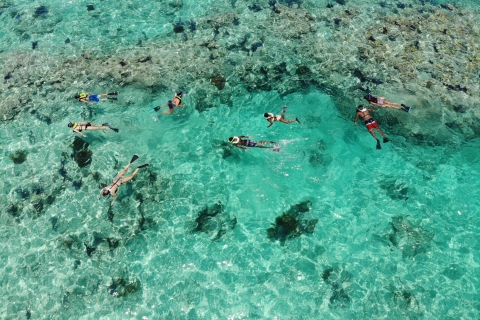 Key West: Reef Snorkel Morning Tour met ontbijt en mimosa's