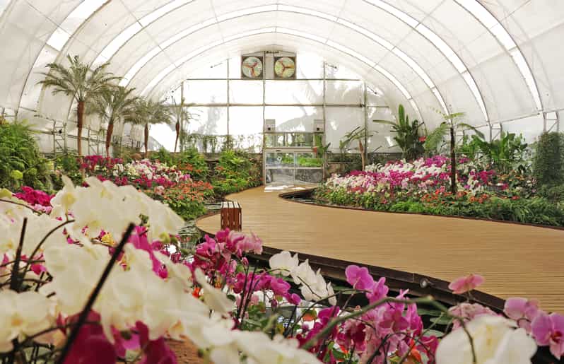 Morelos Jardines de México Admission Ticket GetYourGuide