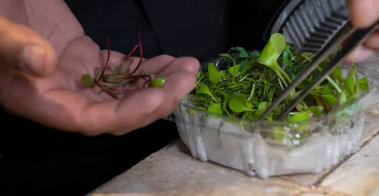 Mexico City: Mexican Cooking Class photo 8