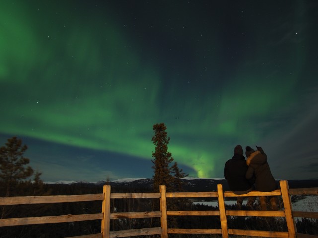 Visit Whitehorse Nighttime Northern Lights Viewing in Whitehorse