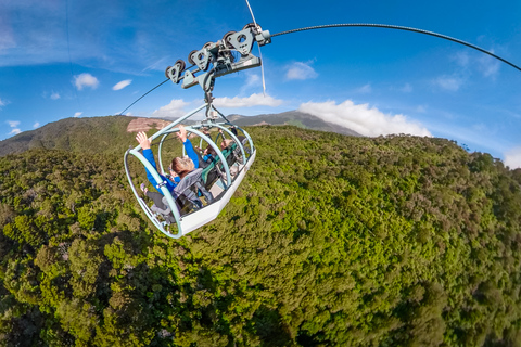 Nelson: Cable Bay Adventure Park Skywire Experience