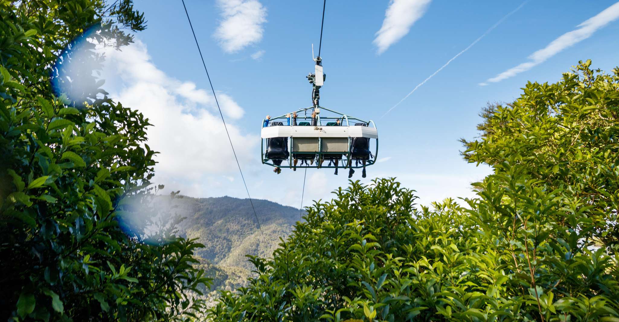 Nelson: Cable Bay Adventure Park Skywire Experience photo 6