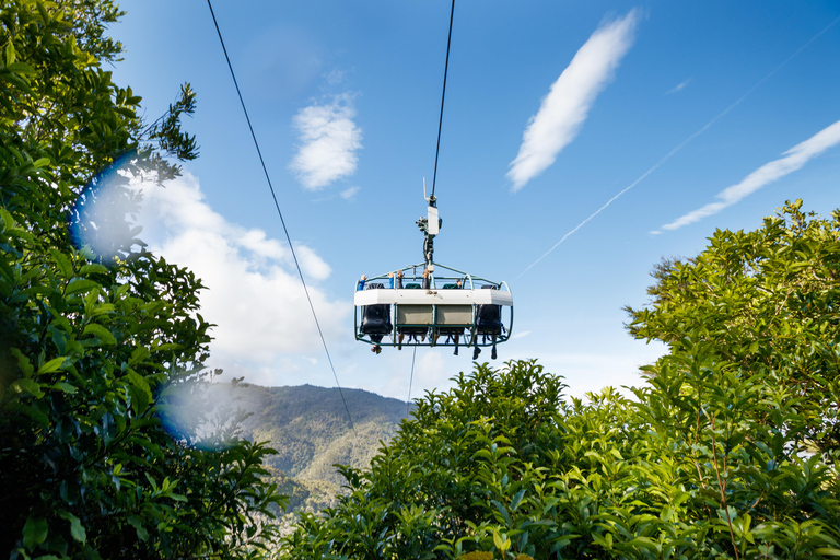 Nelson: Cable Bay Adventure Park Skywire Experience