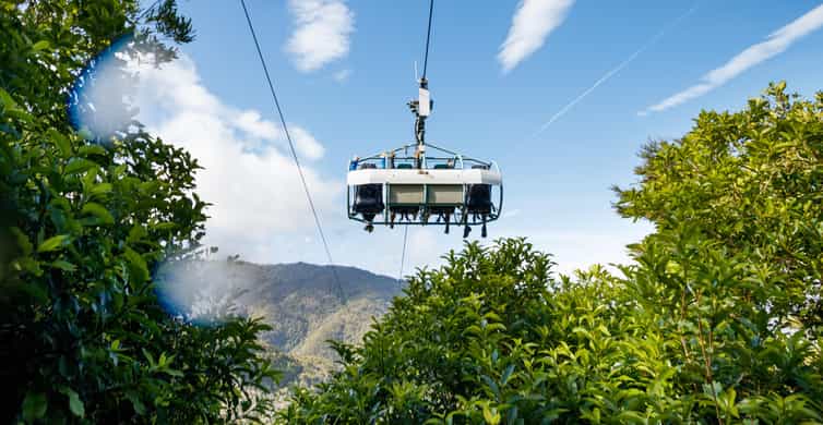 Nelson: Cable Bay Adventure Park Skywire Experience photo 6