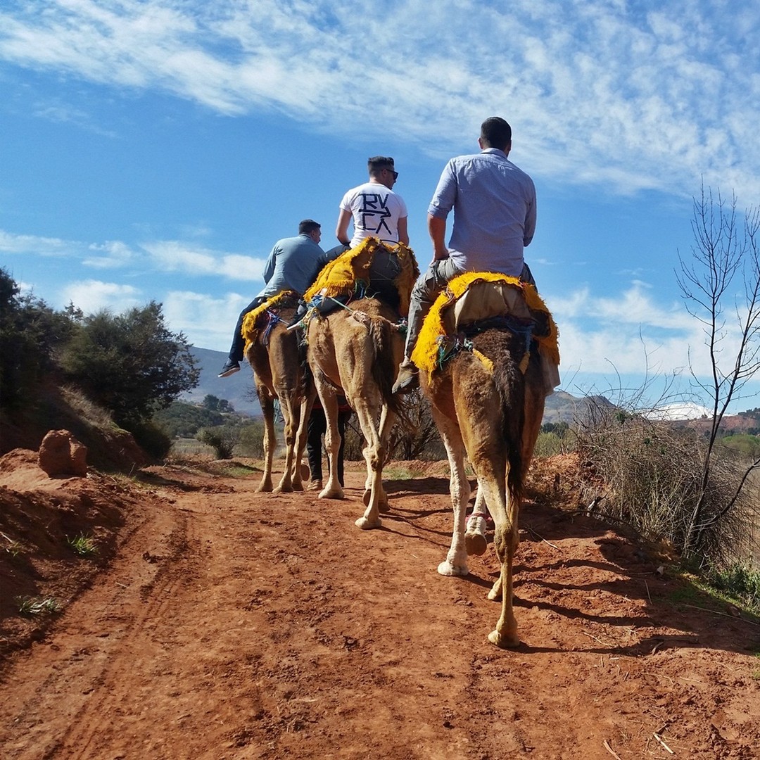 Au départ de Marrakech : Randonnée à cheval de 45 minutes dans l'Atlas