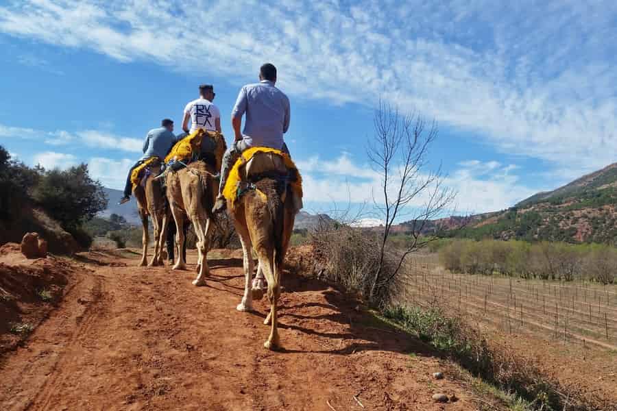 Von Marrakech aus: 45-minütiger Ausritt im Atlasgebirge. Foto: GetYourGuide Von Marrakech aus: 45-minütiger Ausritt im Atlasgebirge. Foto: GetYourGuide