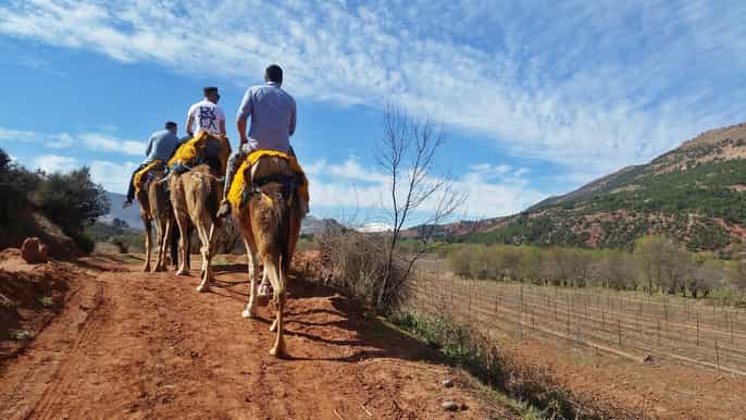 from marrakech atlas mountains 45minute horseback ride