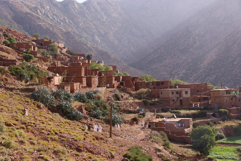 De Marrakech: passeio a cavalo de 45 minutos pelas montanhas do Atlas