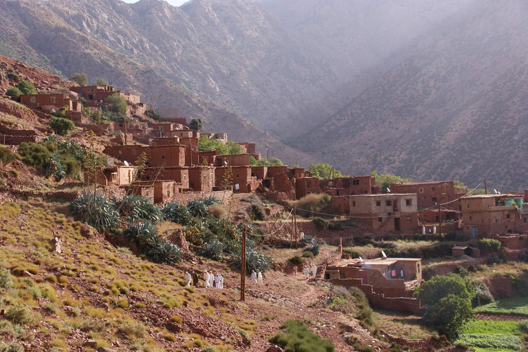 Depuis Marrakech : randonnée équestre de 45 min dans l'Atlas