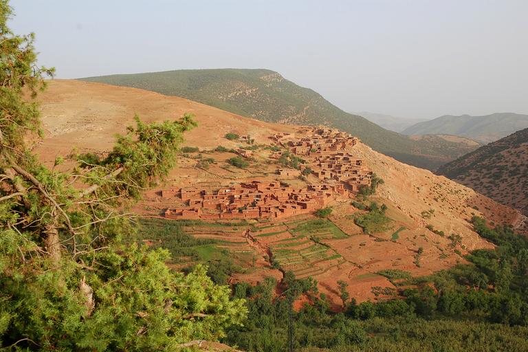 Depuis Marrakech : randonnée équestre de 45 min dans l'Atlas