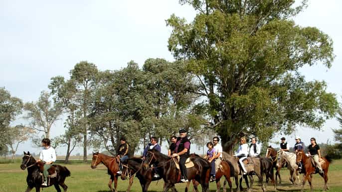 buenos aires argentine gaucho day at don silvano ranch
