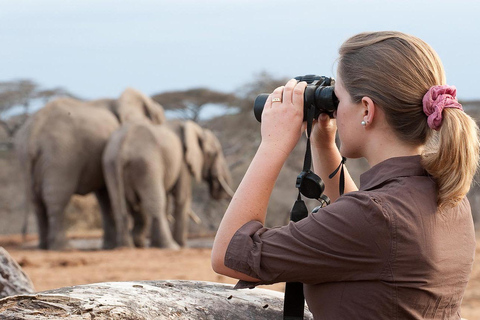 Desde Nairobi: Excursión de un día al Parque Nacional Amboseli.