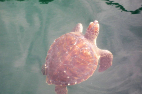 Z Rio: Arraial do Cabo - wycieczka na brazylijskie KaraibyZ Rio: Arraial do Cabo - jednodniowa wycieczka po brazylijskich Karaibach