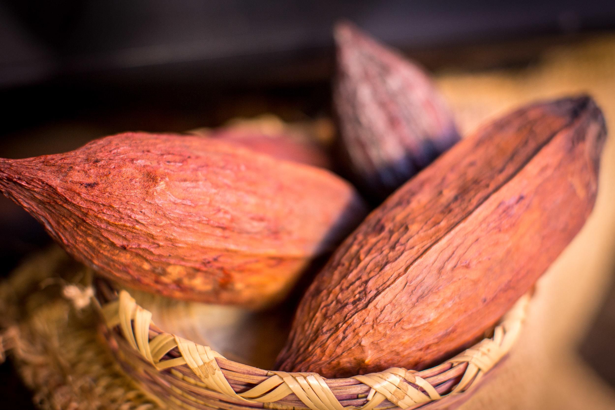 San Miguel de Allende: Schokoladenverkostung und Rundgang