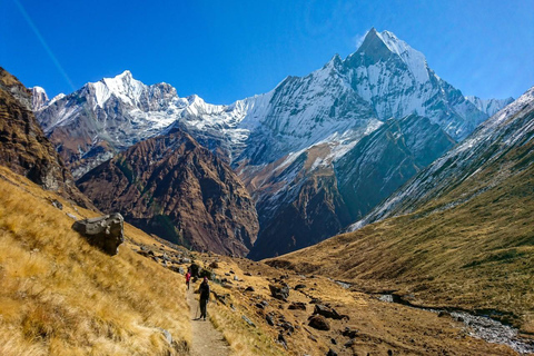 Annapurna Base Camp TrekAnnapurna Base Camp Trek pokhara