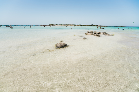 Från Rethymno/Kavros: Tur till Elafonissi rosa sandstrand