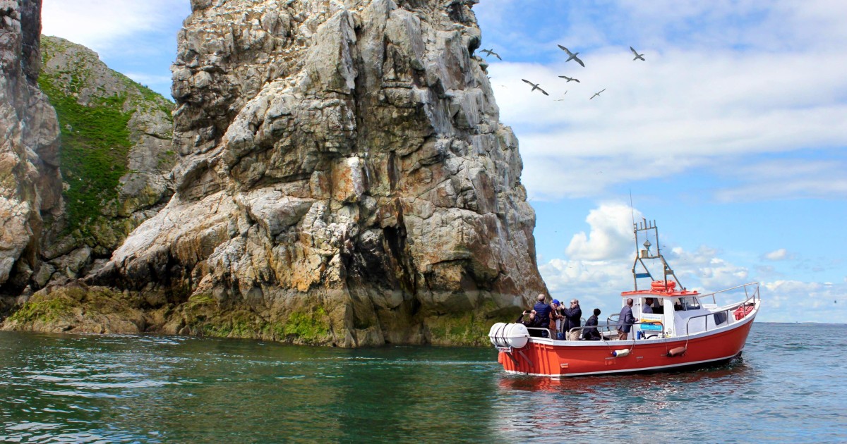 Dublin: Howth Coastal Boat Tour with Ireland's Eye Ferries | GetYourGuide