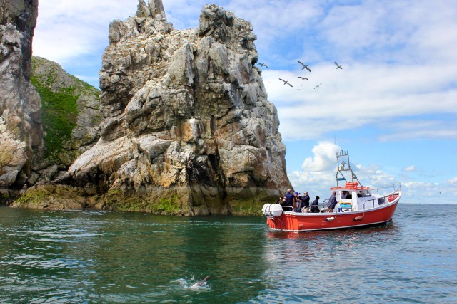 Visit Dublin Howth Coastal Boat Tour with Ireland's Eye Ferries in Dublín