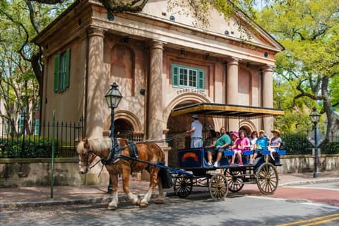 From Myrtle Beach: Charleston Historic Tour