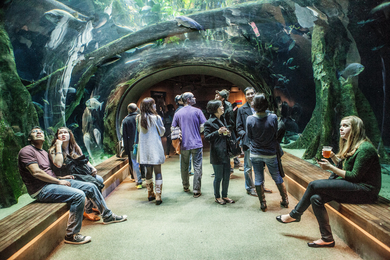 Toegang tot de California Academy of Sciences Thursday NightLifeToegang tot het nachtleven van de California Academy of Sciences