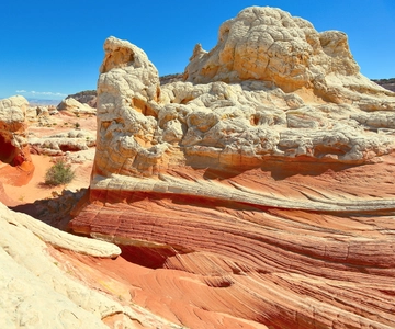 Kanab: White Pocket-wandeltocht in Vermilion Cliffs